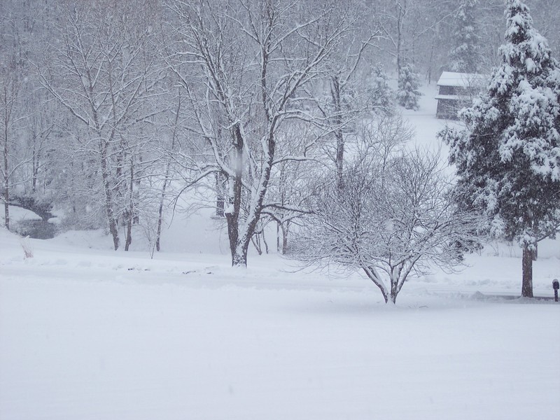 Edinburg, VA Edinburg in a snowstorm...what a sight! photo, picture