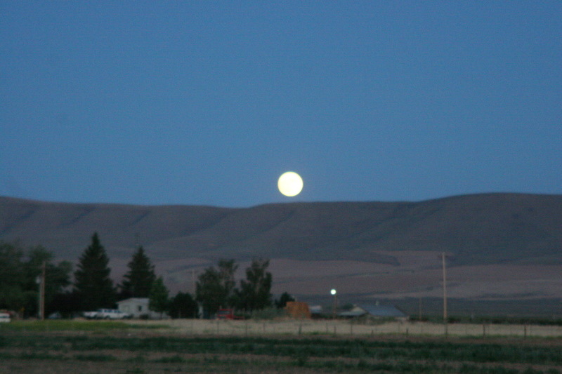 Mabton, WA: 330 Gulden Road Starlite Ranch, Mabton WA 98935 Winter 2010 moon rising