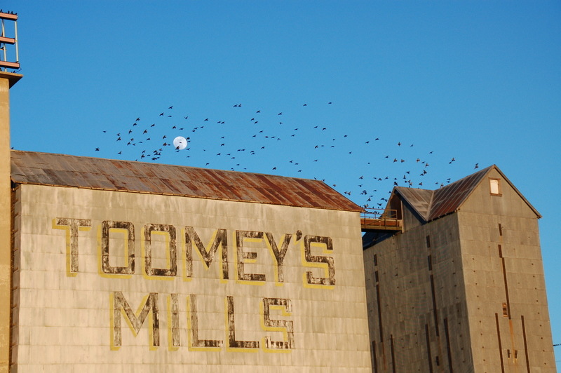 Newcastle, WY: Old Toomey's Mill, Full Moon, 2/26/2010