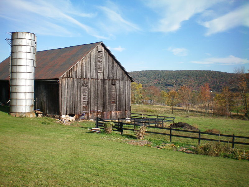 Spring Mills, PA: Looking into my backyard