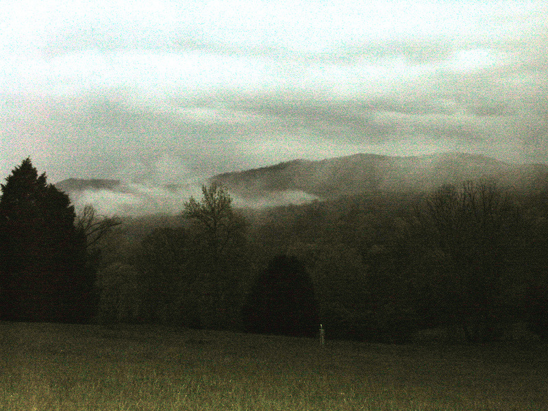 Tellico Plains, TN: Starr Mountain, Tellico Plains, in fog