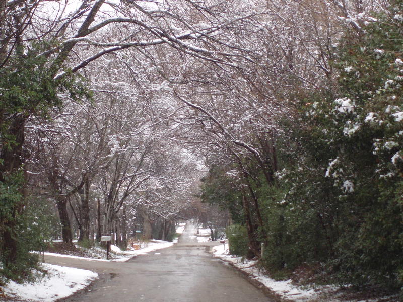 Berryville, TX: This is Berryville,Tx on a snowy day, which does not happen often enough around here..