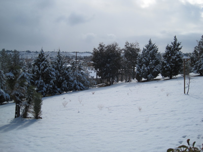 Hesperia, CA Snow of January 2011, Hesperia Ca photo, picture, image (California) at