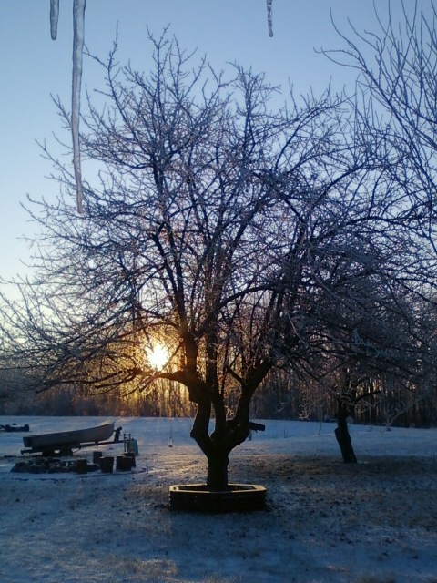 Payne, OH: The morning sun rising on Jan. 7, 2011.