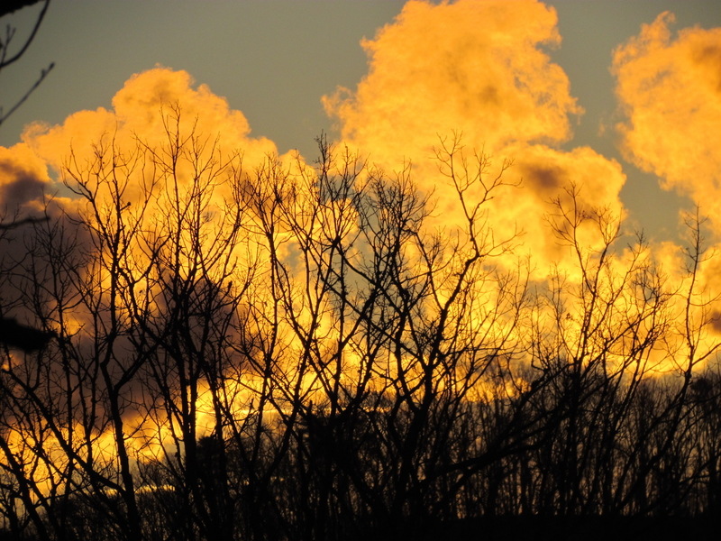Oak Ridge, TN: Morning sun coming through the steam from Bull Run.