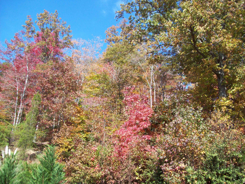 Oak Ridge, TN: View of the fall colors from Emory Valley