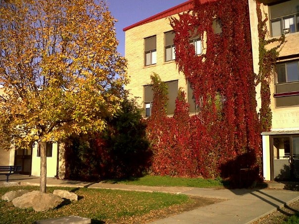 Belfield, ND: a picture of the front of the school in belfield, nd the fall of 2010