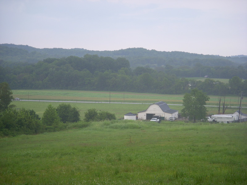 Petersburg, TN: 5.13 ACRES THIS IS HEAVEN