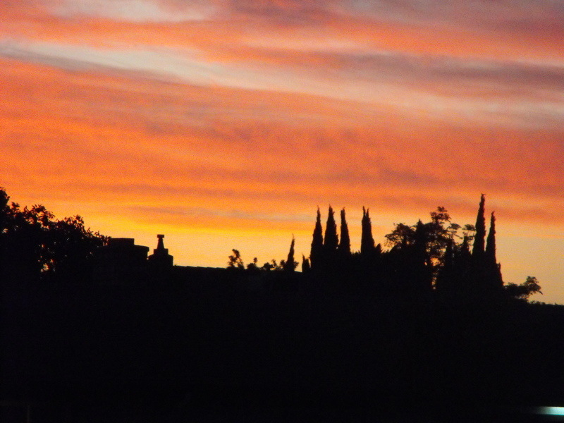 Manteca, CA: Manteca Sun set taken from my yard near Parkveiw and Mcgraff