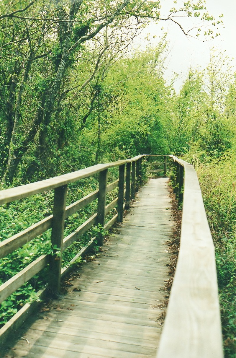 Hitchcock, TX: jack brook park