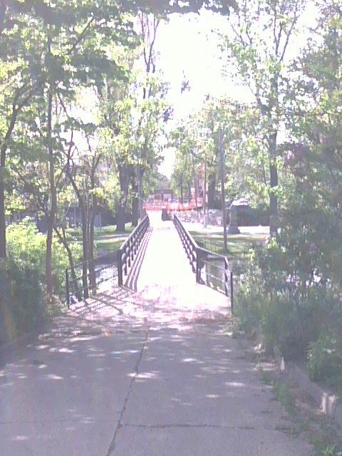 Eaton Rapids, MI: Bridge To The Island Park