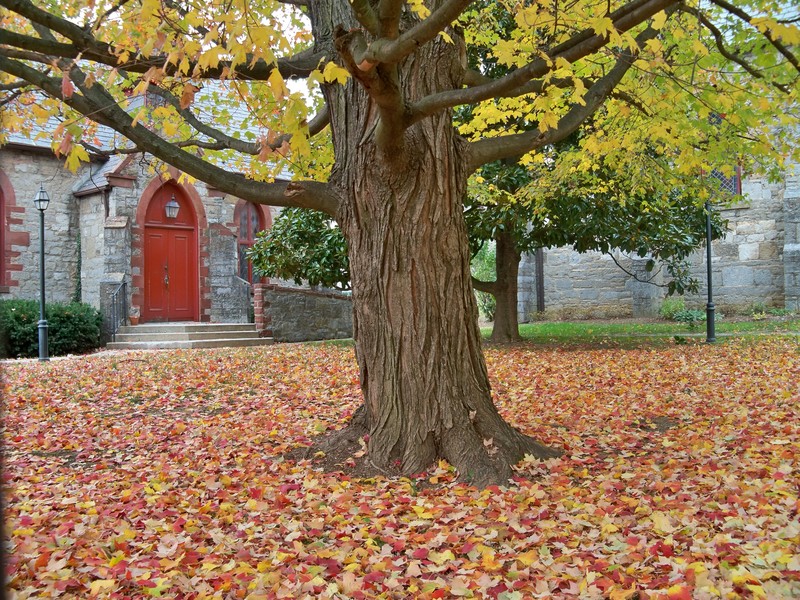 Shepherdstown, WV: Fall Leaves at the Church on German St.