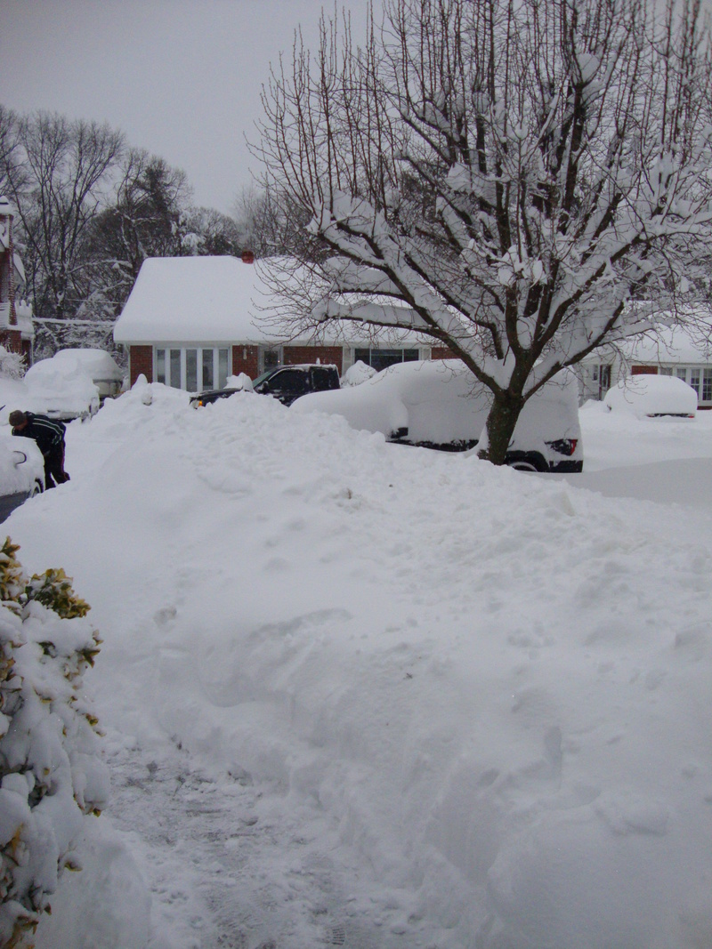 Glen Burnie, MD: Snow Storm 2010