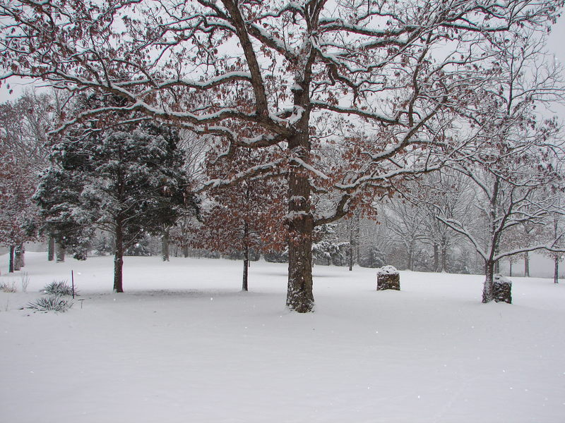 Warsaw, MO: Winter Wonderland. Beautiful winter scene in our yard 2010.