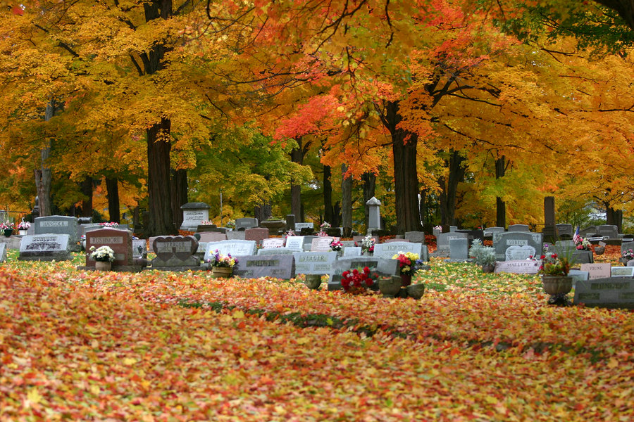 Wellsville, NY: Woodlawn Cemetery- Wellsville