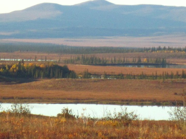 Noorvik, AK: on the way to gravel pit during the fall, 2010