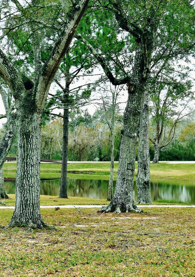 League City, TX: league city, tx: walter hall park