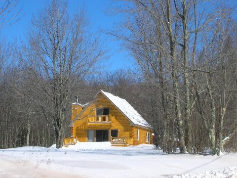 Fleischmanns, NY: wood road