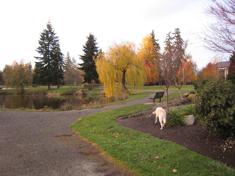 Clyde Hill, WA: At the park with Sophie