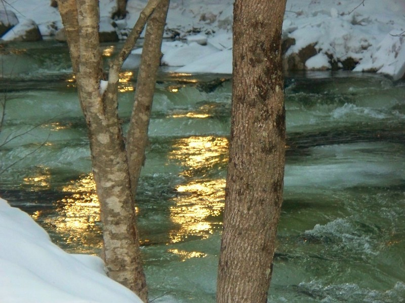 Stony Creek, NY: sun on Roaring Branch