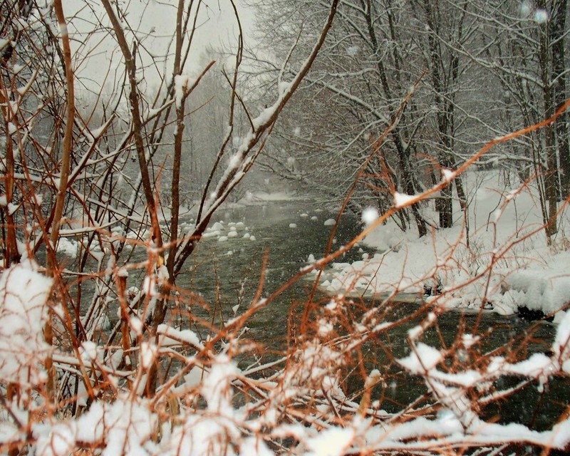 Stony Creek, NY: Stony Creek