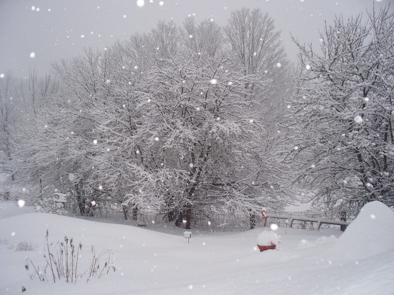Stony Creek, NY My back yard photo, picture, image (New York) at city