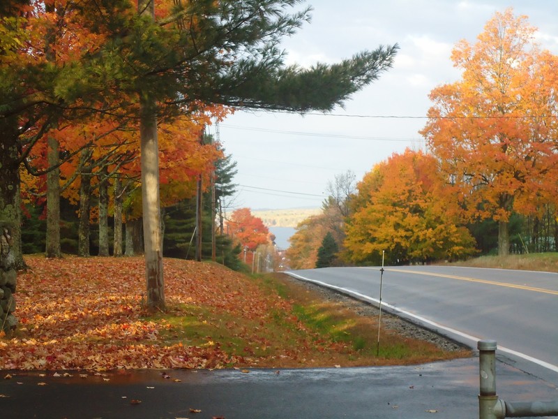 Standish, ME: Rte 35, top of the hill overlooking Sebago Lake