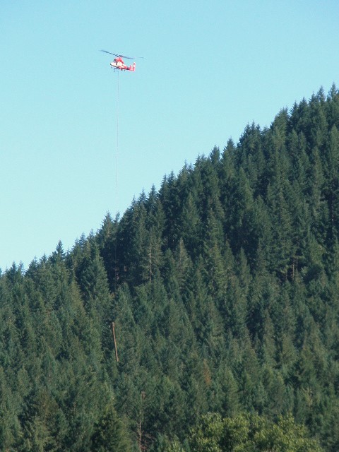 Marcola, OR: Helicopter logging near Marcola