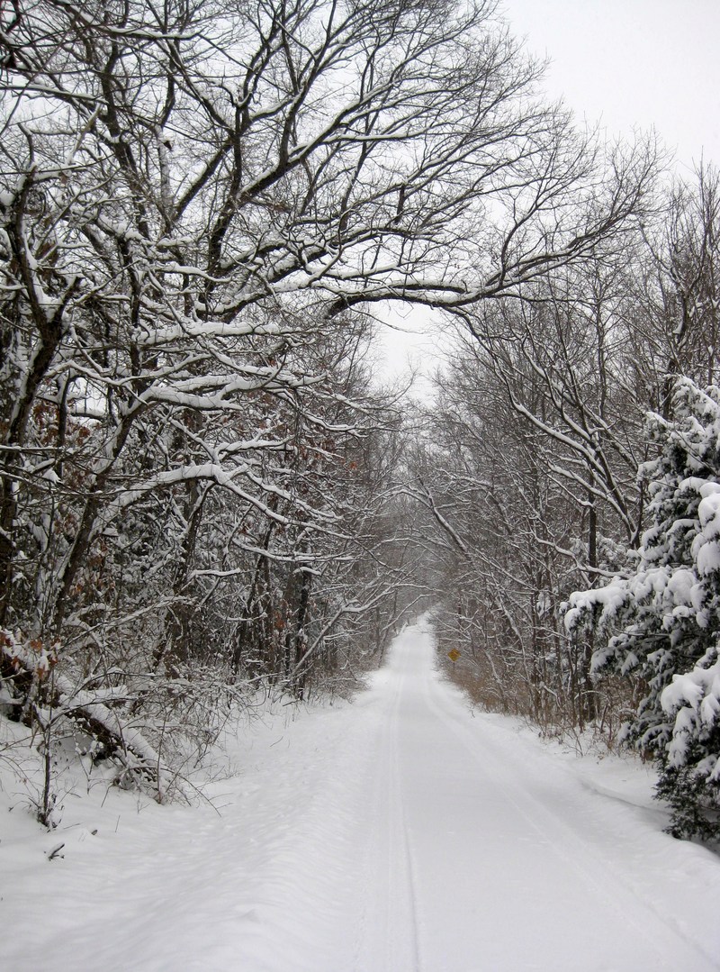 Wildwood, MO: Winter Month