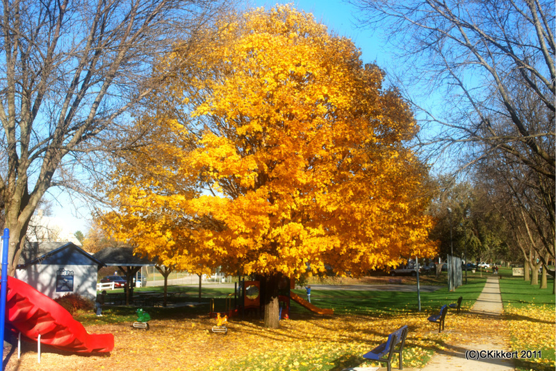 Moville, IA: Autumn in Moville, Iowa Mainstreet Park.