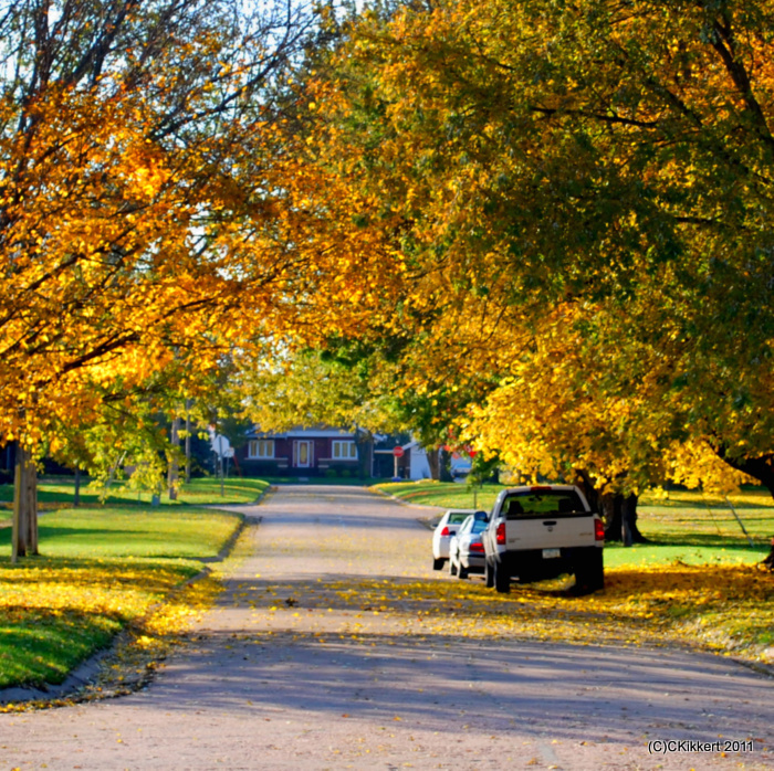 Moville, IA: Autumn colors on Jackson Street, Moville, Iowa.