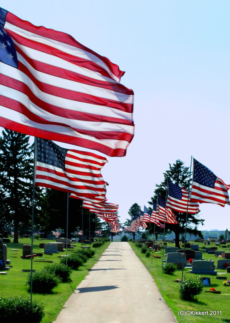Moville, IA: Memorial Day flags placed in the cemetary honoring those who served from Moville, Iowa