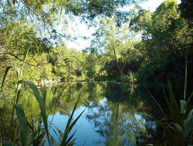 Grey Forest, TX: Lakeshore Drive