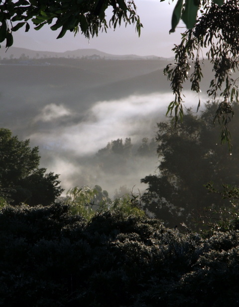 San Diego Country Estates, CA: Morning Fog