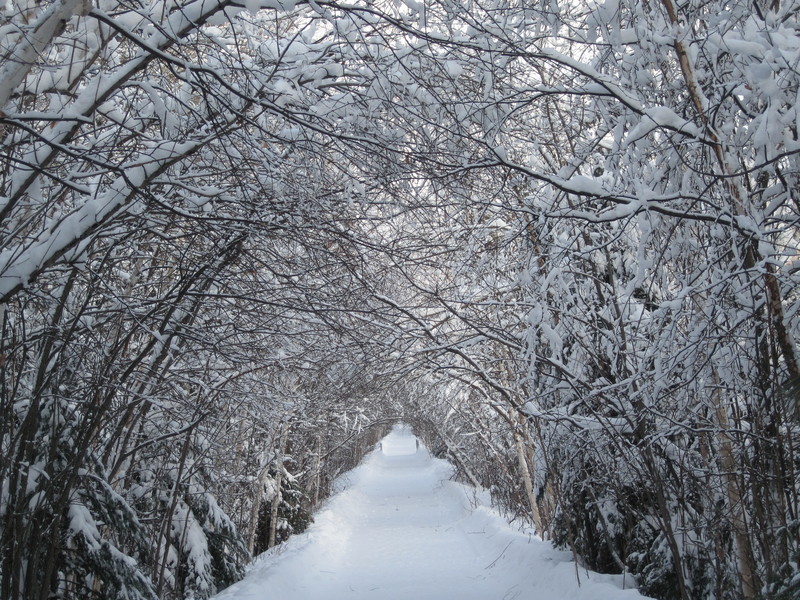 Hoyt Lakes, MN Winter Wonderland / Hoyt Lakes Walking Trail photo