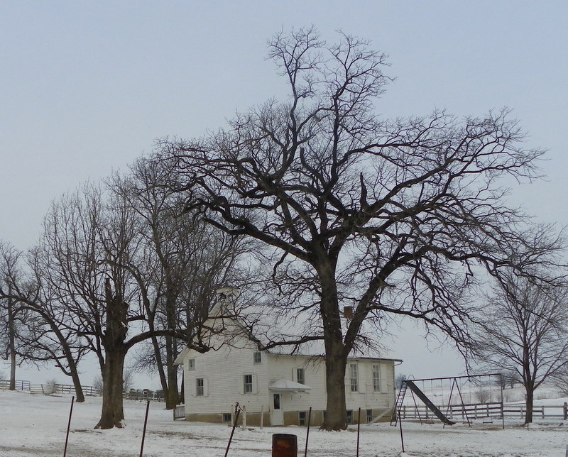 Kalona, IA: Amish School House