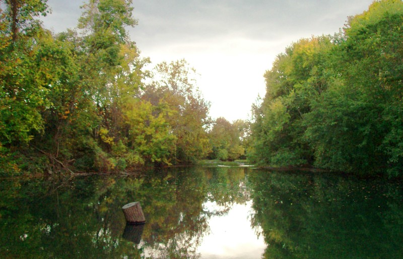 Hartville, MO: Favorite Fishing Spot 1