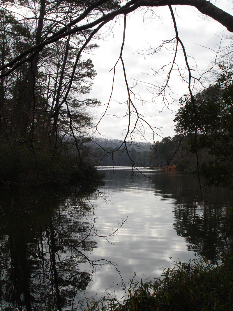Pine Mountain, GA: View of the lake at Callaway Gardens, Pine Mountain, GA