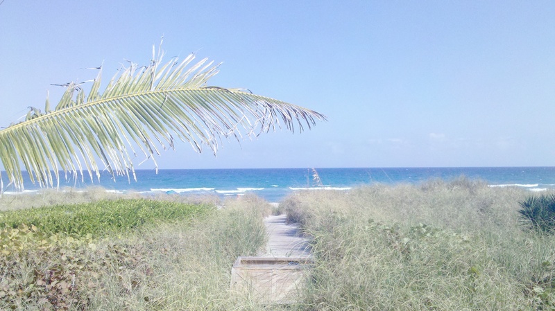 Delray Beach, FL: veiw of the ocean from the Colony Cabana Beach club. It does not get better then this!