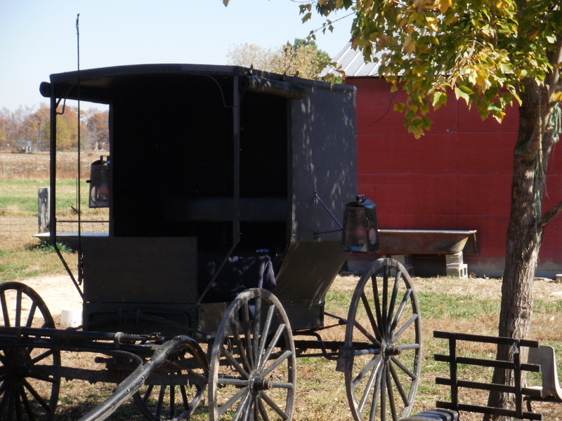 Ethridge, TN: Amish buggy on a farm in Etheridge, TN