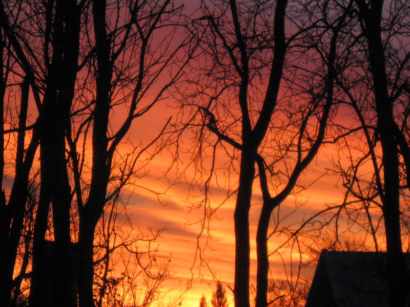 Green Isle, MN Blazing Sunrise in Green Isle, October 2010 photo