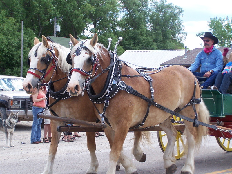 Augusta, MT: "Augusta MT 2010 Rodeo Parade"