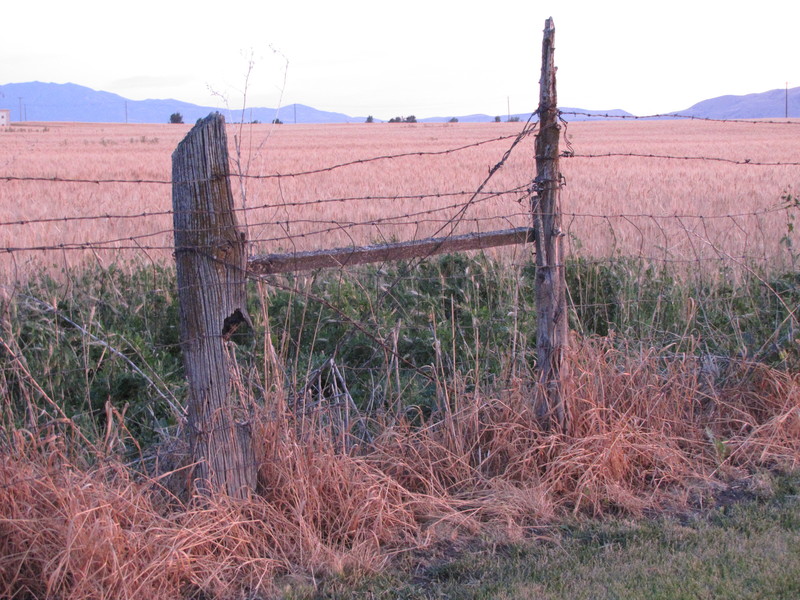 Cove, UT: Cove field and fence at sunset