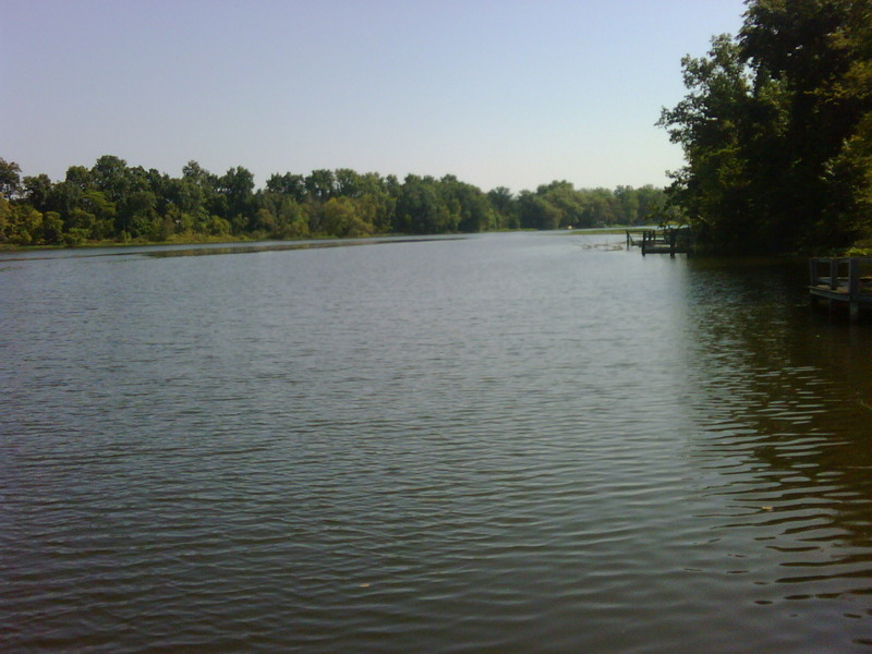 Three Rivers, MI: St. Joseph River