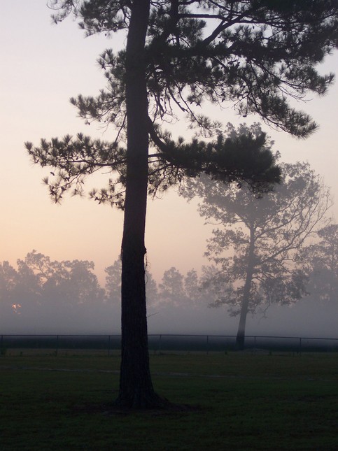 Jonesboro, LA: Fall morning