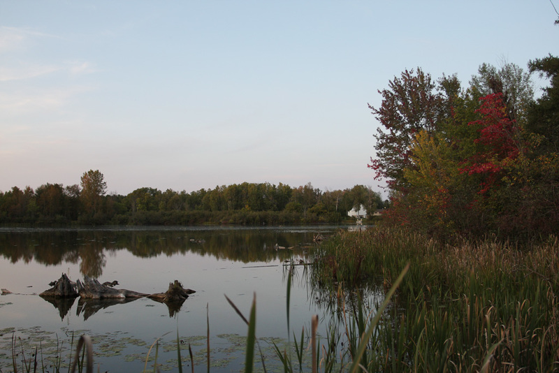 Marion, MI: The mill pond