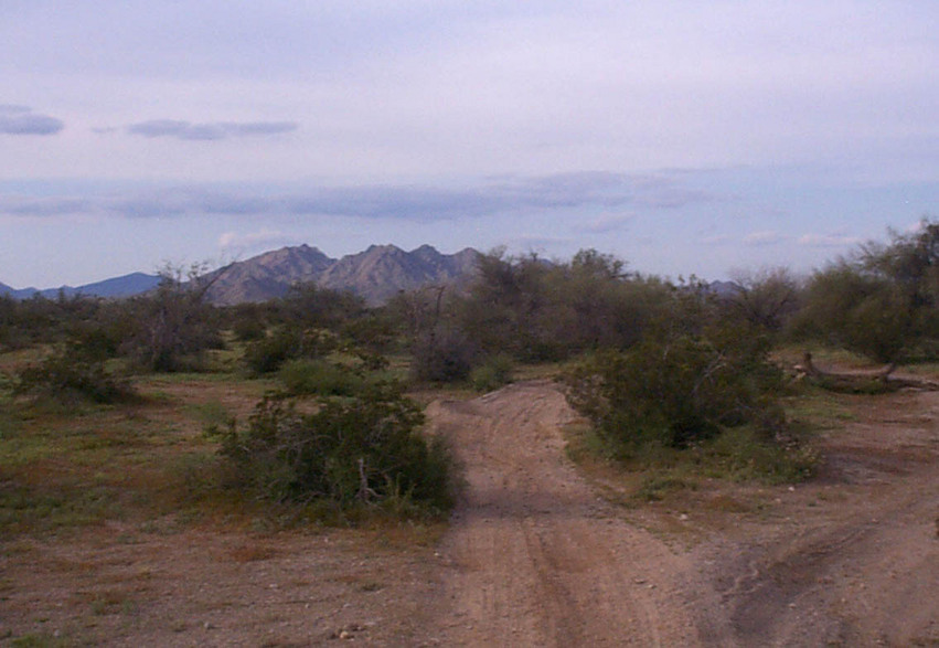 Gila Bend, AZ: Photo taken looking north from Pima Street, approximately 3 blocks east of the McDonald's restaurant.