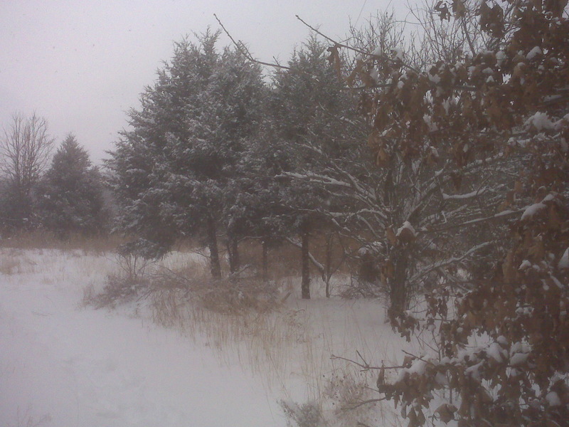 Northwest Pontotoc, OK: Snow Storm 2011 NW Pontotoc County,Ok