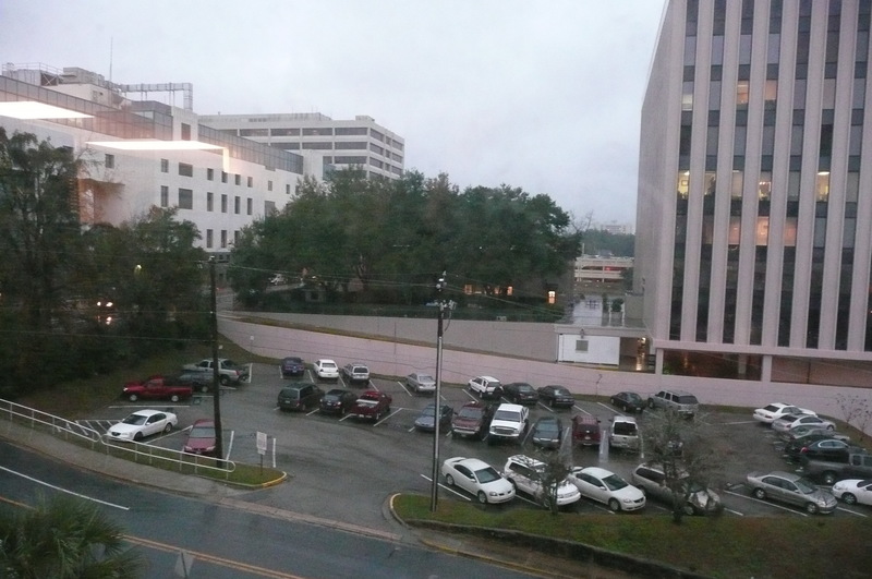 Tallahassee, FL: View from the Mayo Building downtown