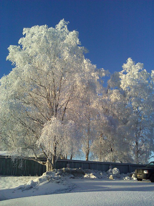 Anchorage, AK : Alaska Winter Day................ photo, picture, image ...